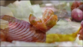 Love Island - Season 08 Episode 52